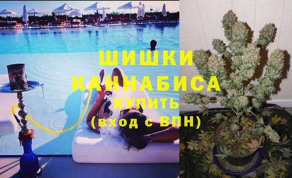 гашик Богородицк