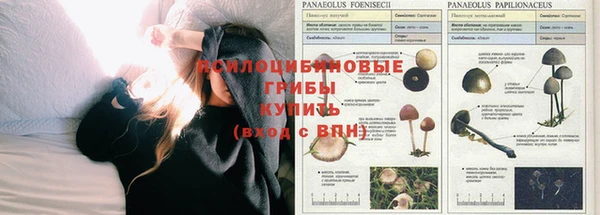 гашик Богородицк