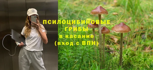 амфетамин Богородск