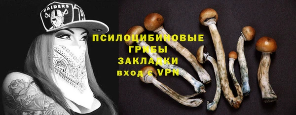 гашик Богородицк